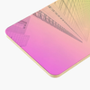 MIRROR GRADIENT